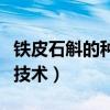 鐵皮石斛的種植技術和圖片（鐵皮石斛的種植技術）