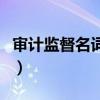 審計監督名詞解釋是什么（審計監督名詞解釋）