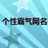 個性霸氣網名（有什么比較霸氣個性的網名）