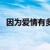 因為愛情有多美劇情介紹（該劇經典臺詞）