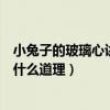 小兔子的玻璃心講了個什么道理（小兔子的玻璃心告訴我們什么道理）