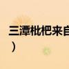 三潭枇杷來自哪個省的（三潭枇杷來自哪個縣）