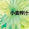 小麥榨汁的方法（小麥草怎么榨汁）