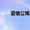 愛情公寓劇情（愛情公寓劇情簡介）