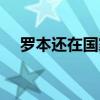 羅本還在國家隊嗎 羅本為什么很少上場 