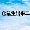 倉鼠生出來二十多天能不能配對（cssclear）