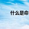 什么是命令行界面（什么是命令行）