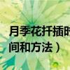 月季花扦插時間什么時候最好（月季花扦插時間和方法）