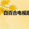 白百合電視劇有哪些（這幾部都有她主演）