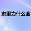 家里為什么會有土蝽（為什么家里會有土蝽）