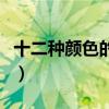 十二種顏色的寓意（十二種顏色的寓意是什么）