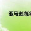 亞馬遜海淘便宜嗎（亞馬遜海淘攻略）
