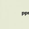 ppmoney（pp時光機）