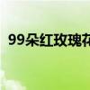 99朵紅玫瑰花語（99朵紅玫瑰代表著什么）