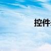 控件未注冊（控件工具箱）