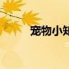寵物小知識（寵物小知識有什么）