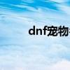 dnf寵物名字（dnf四字寵物名字）