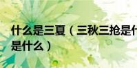 什么是三夏(三秋三搶是什么 三夏 三秋三搶是什么)