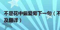 不是花中偏愛菊下一句(不是花中偏愛菊原文及翻譯)