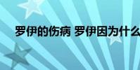 羅伊的傷病 羅伊因為什么傷病退出nba