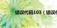 錯誤代碼103(錯誤代碼 103)