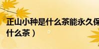 正山小種是什么茶能永久保存嗎(正山小種是什么茶)