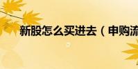 新股怎么買進去(申購流程規則如下)