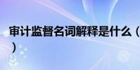 審計監督名詞解釋是什么(審計監督名詞解釋)