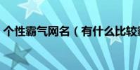個性霸氣網名(有什么比較霸氣個性的網名)