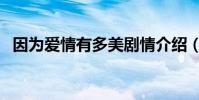 因為愛情有多美劇情介紹(該劇經典臺詞)