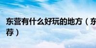 東營有什么好玩的地方(東營旅游必去景點推薦)