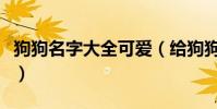 狗狗名字大全可愛(給狗狗取可愛的名字大全)