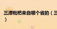 三潭枇杷來自哪個省的(三潭枇杷來自哪個縣)