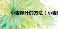 小麥榨汁的方法(小麥草怎么榨汁)