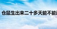倉鼠生出來二十多天能不能配對(cssclear)