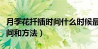 月季花扦插時間什么時候最好(月季花扦插時間和方法)