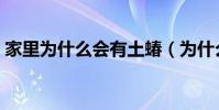 家里為什么會有土蝽(為什么家里會有土蝽)