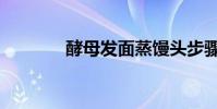 酵母發面蒸饅頭步驟(酵母)