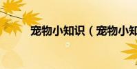 寵物小知識(寵物小知識有什么)
