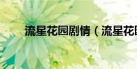 流星花園劇情(流星花園劇情簡介)