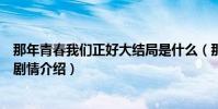 那年青春我們正好大結局是什么(那年青春我們正好大結局劇情介紹)