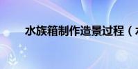 水族箱制作造景過程(水族箱制作)