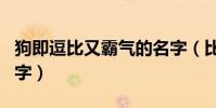 狗即逗比又霸氣的名字(比較有個性的狗狗名字)