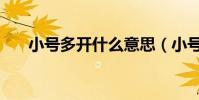 小號多開什么意思(小號多開瀏覽器)