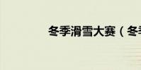 冬季滑雪大賽(冬季滑雪)