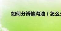 如何分辨地溝油(怎么分辨地溝油)