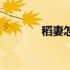 稻妻怎么解鎖（稻妻釣魚點）