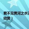 君不見黃河之水天上來奔流到海不復回的意思（將進酒原文欣賞）