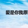 愛是你我原唱歌詞（歌曲愛是你我歌詞）