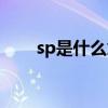 sp是什么意思中文（sp是什么意思）